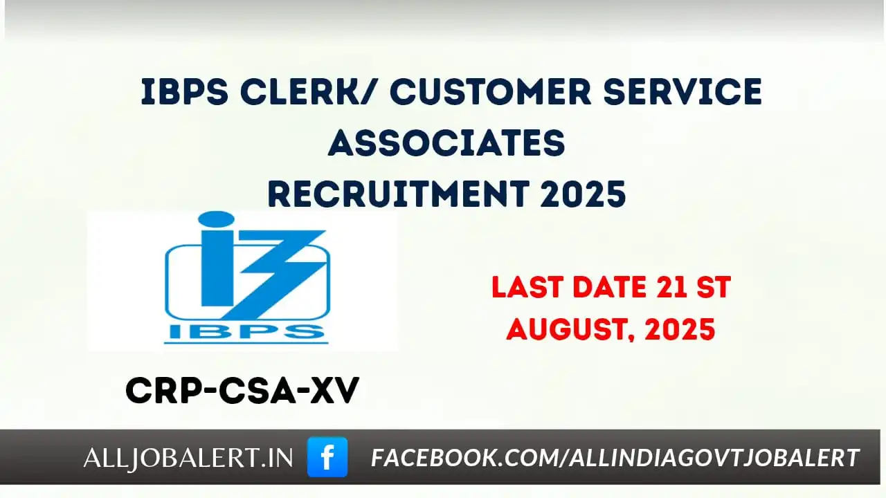 ibps clerk, ibps, ibps clerk admit card, ibps clerk salary, ibps clerk exam date 2025, ibps clerk result